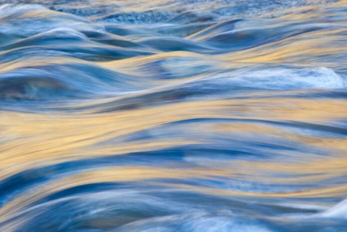 Liquitity